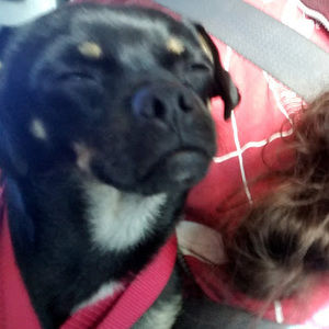 Meet your Posher, Jesus